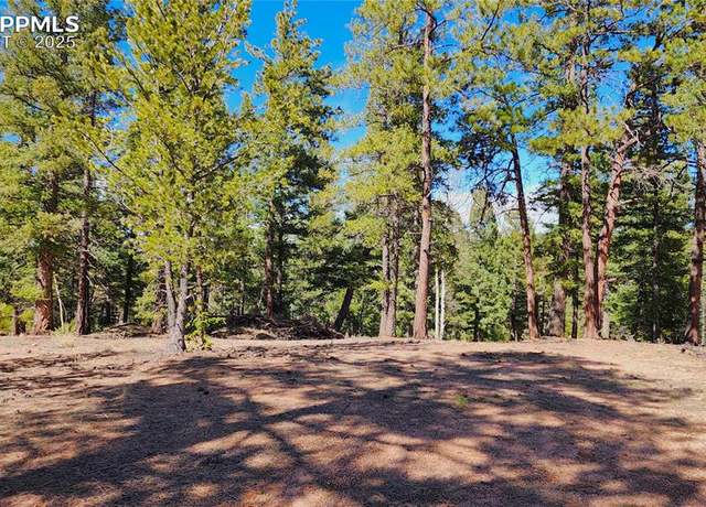 Property at 178 Gerka Ln, Florissant, CO 80816