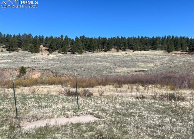 Property at TBD Highway 24, Florissant, CO 80816