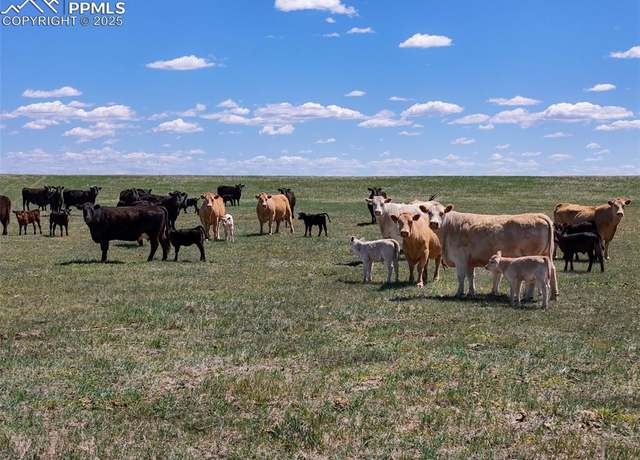 Property at 18497 County Road 197, Limon, CO 80828