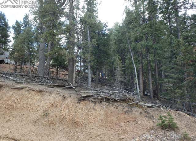 Property at 620 Wakanda Trl, Woodland Park, CO 80863