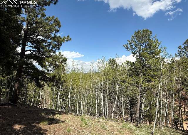 Property at 62 Hadatsa Ln, Woodland Park, CO 80863