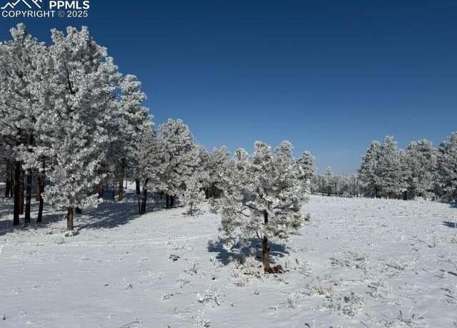 Property at 12180 Goodson Rd, Colorado Springs, CO 80908