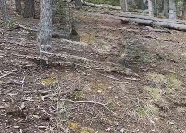 Property at 0 Glenwood Ln, Woodland Park, CO 80863