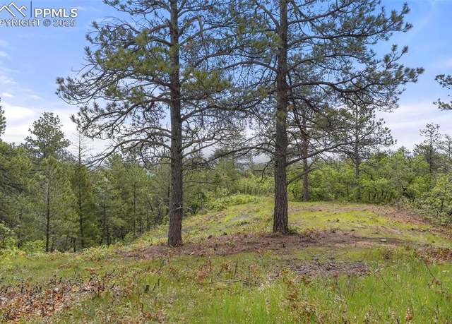 Property at 2054 Stratton Forest Hts, Colorado Springs, CO 80906