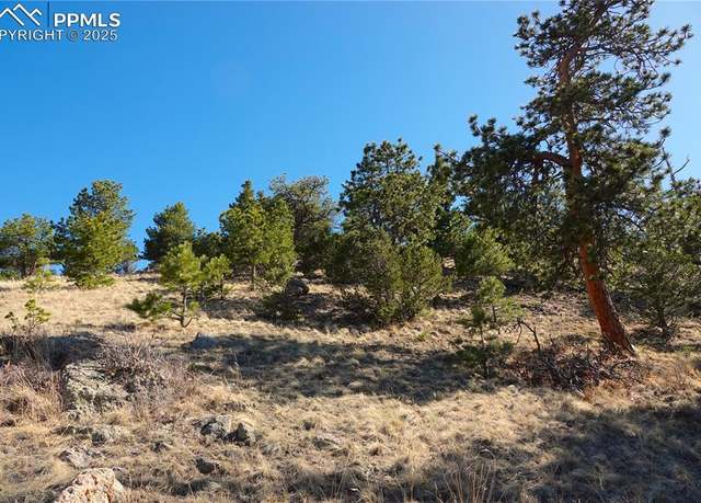 Property at County Road 5, Lot 1, Canon City, CO 81212