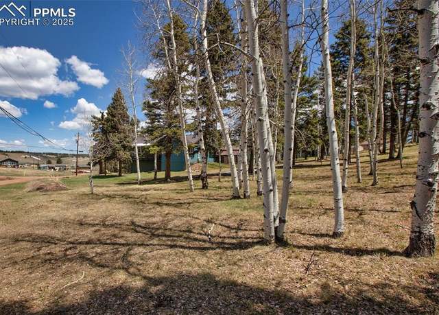 Property at 571 Will Scarlet Dr, Divide, CO 80814