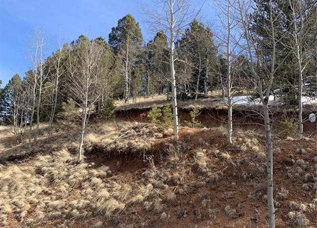 Property at 490 Willow Rd, Divide, CO 80814