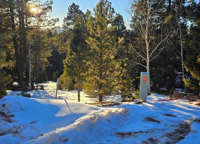 Property at 133 Sildona Trl, Florissant, CO 80816