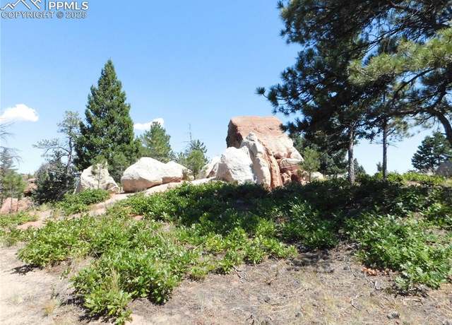 Property at LOT 9 Thunderbird Rd, Larkspur, CO 80118