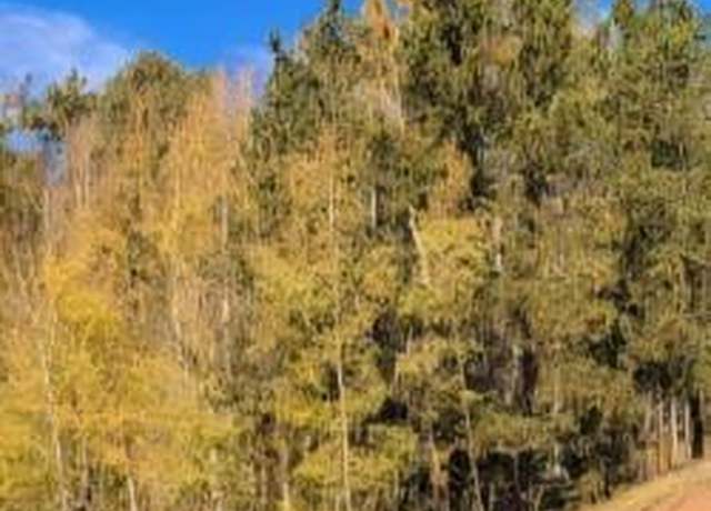 Property at 864 Wellington Dr, Cripple Creek, CO 80813
