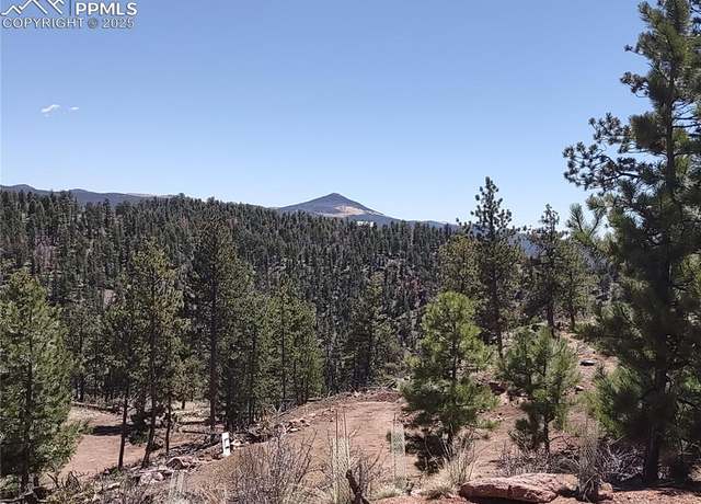 Property at 822 Chateau West Dr, Florissant, CO 80816