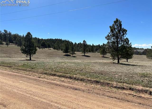 Property at 38 Apache Cir, Florissant, CO 80816