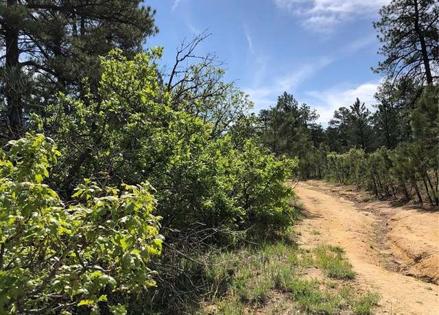 Property at 2207 etal Senecio Dr, Larkspur, CO 80118