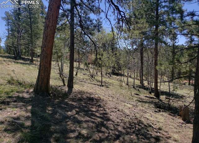 Property at 69 Lake Cir, Divide, CO 80814