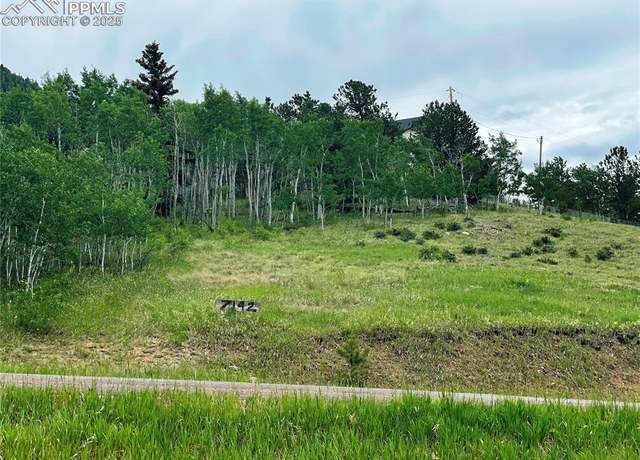 Property at 7142 County Road 92, Lake George, CO 80827