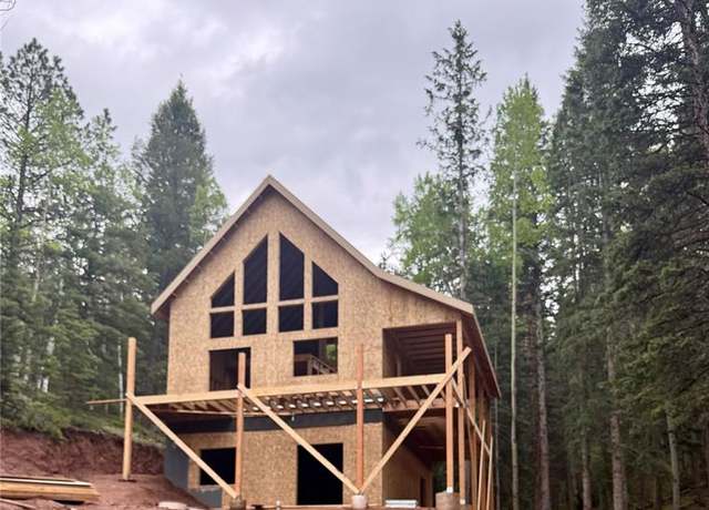 Property at 162 Kernite Ln, Divide, CO 80814, 3 beds, 2 baths