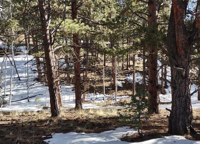 Property at 54 Garnet Way, Florissant, CO 80816