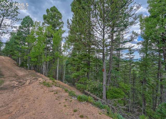 Property at 251 Osoeola Rd, Woodland Park, CO 80863