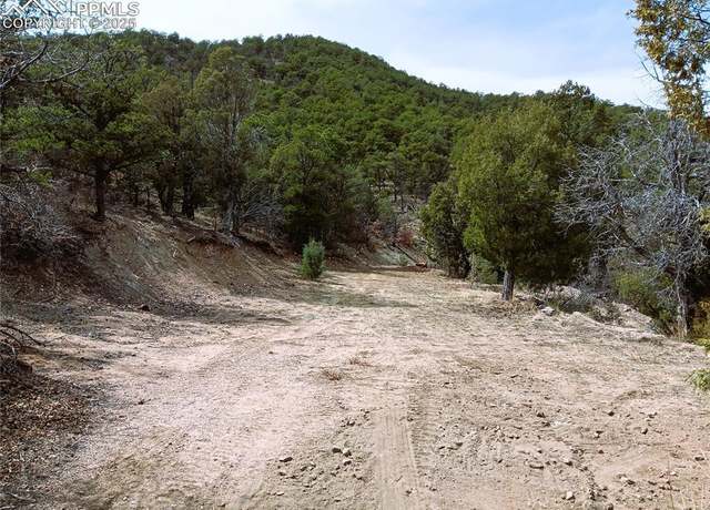 Property at TR3 Mineshaft Pl, Cotopaxi, CO 81223