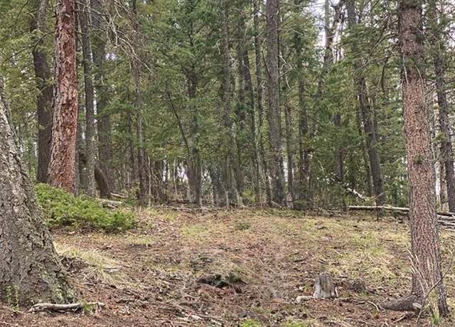 Property at 126 Glenwood Ln, Woodland Park, CO 80863