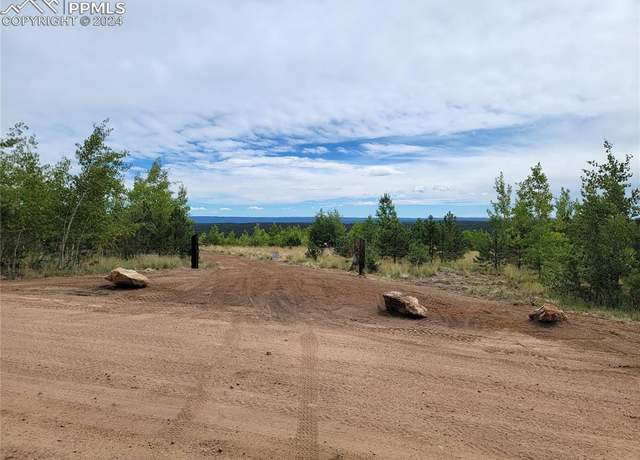 Property at Unit 3 County Road 51, Florissant, CO 80816