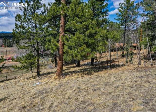 Property at 870 Will Scarlet Dr, Divide, CO 80814