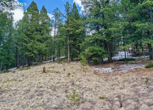 Property at TBD Valley Rd, Divide, CO 80814