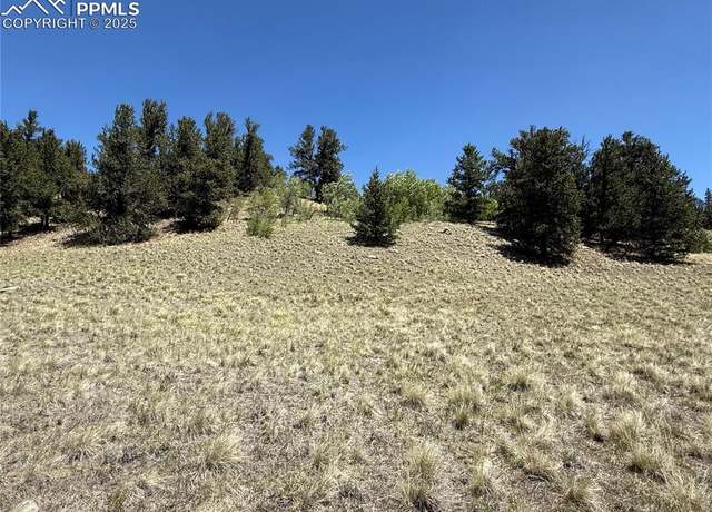 Property at Abandoned Rail Rd, Fairplay, CO 80440