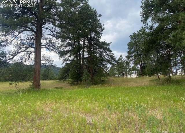 Property at 8036 Settlers, Morrison, CO 80465