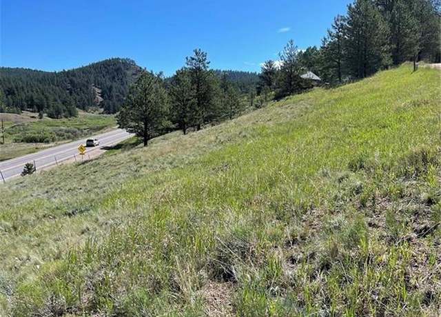 Property at 125 & 137 Hillside Dr, Florissant, CO 80816
