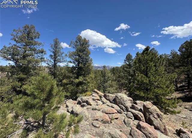 Property at 487 Pike View Ln, Florissant, CO 80816