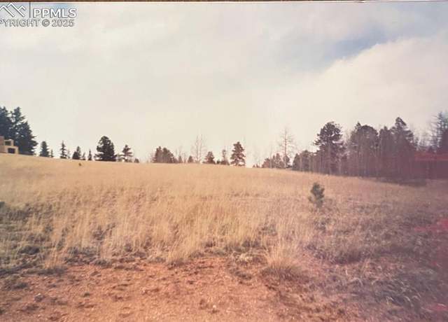 Property at 785 Obsidian Dr, Florissant, CO 80816
