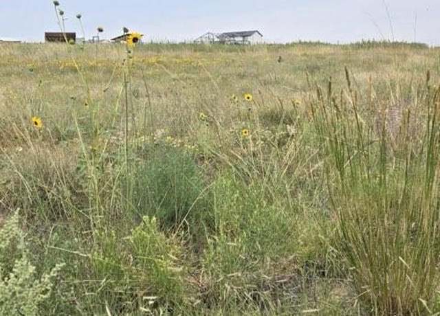 Property at 17460 Sage Crest Rd, Peyton, CO 80831