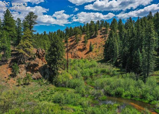 Property at 29545 Highway 67, Woodland Park, CO 80863
