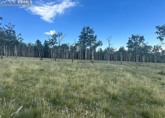 Property at County Road 863, Victor, CO 80860