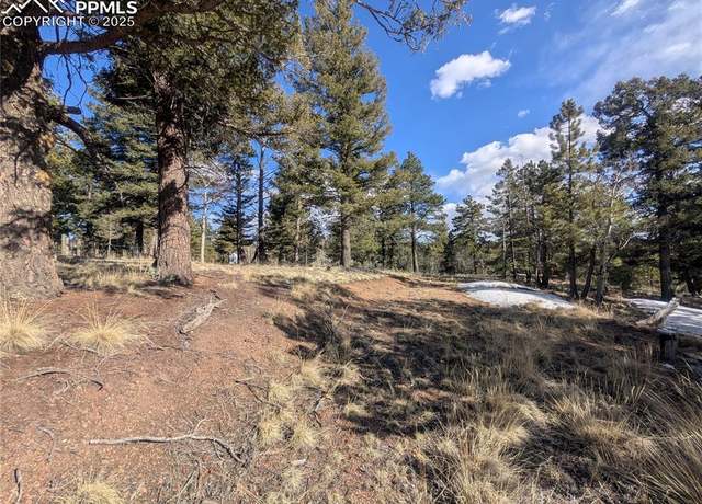 Property at 56 Rampart Cir, Florissant, CO 80816