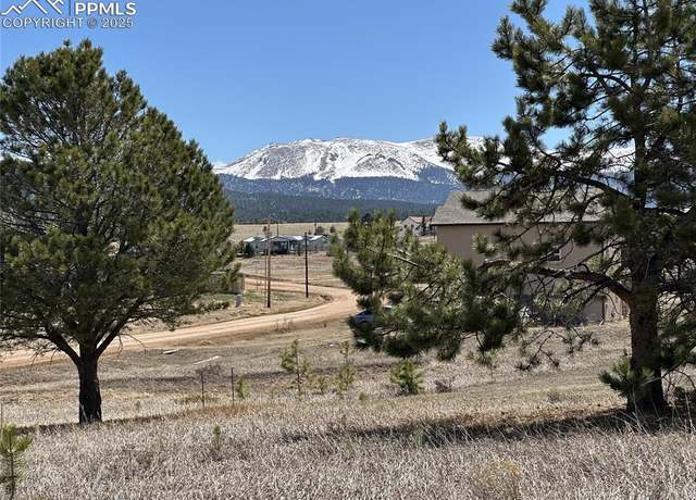Property at 333 Golden Grain Ln, Divide, CO 80814