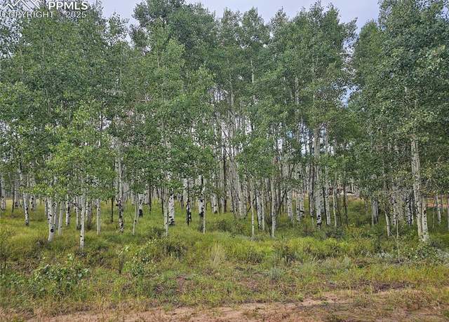 Property at 455 Aspen Way Dr, Florissant, CO 80816