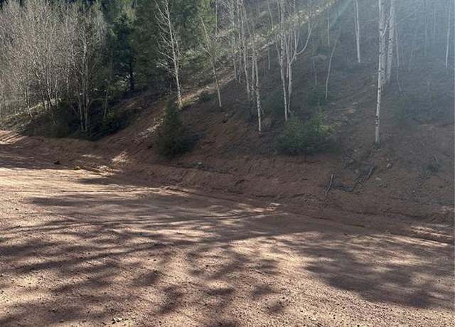 Property at County Road 61, Divide, CO 80814