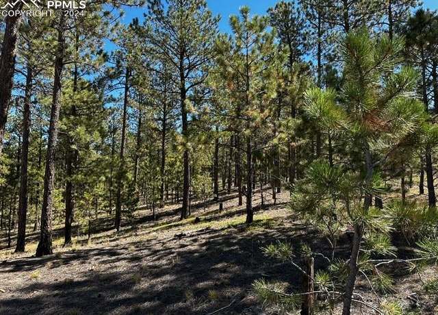 Property at 14581 Quartz Creek Dr, Colorado Springs, CO 80908