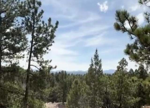 Property at 110 La Abu Trl, Florissant, CO 80816