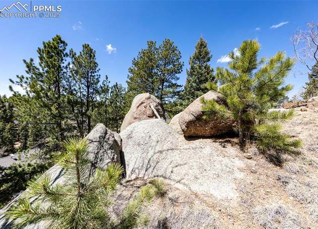 Property at 110 La Abu Trl, Florissant, CO 80816