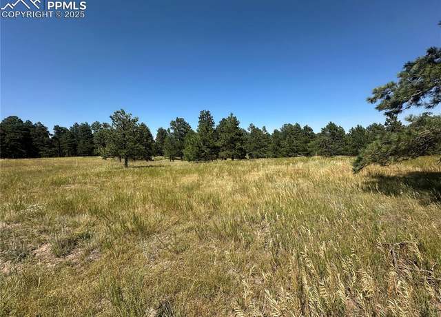 Property at 10437 Alamar Way, Colorado Springs, CO 80908