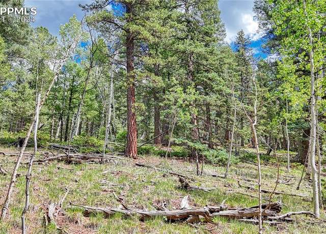 Property at 94 E Mariposa Cir, Cripple Creek, CO 80813