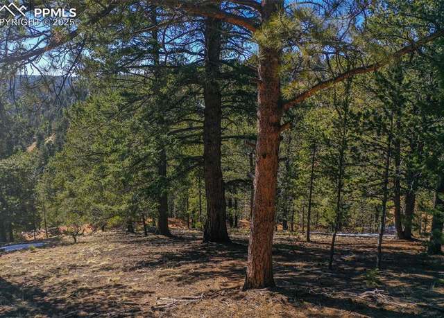 Property at 507 Horseshoe Dr, Divide, CO 80814