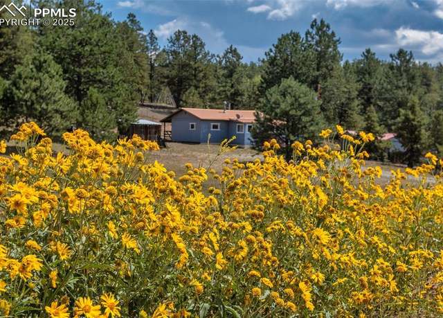 Property at 272 Spring Valley Trl, Florissant, CO 80816, 1 bed, 1 bath