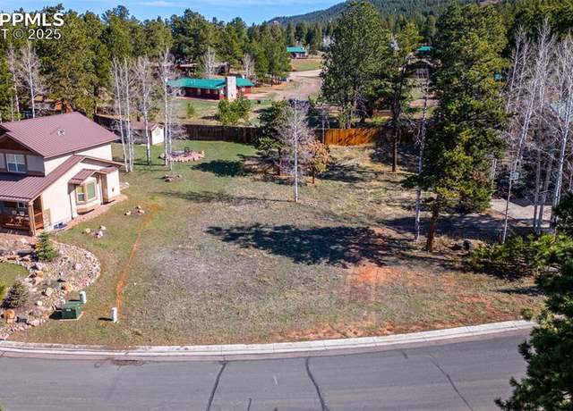 Property at 620 Skyline Dr, Woodland Park, CO 80863