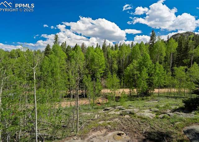 Property at 627 Eagle Rock Rd, Florissant, CO 80816