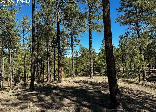 Property at 14731 Quartz Creek Dr, Colorado Springs, CO 80908
