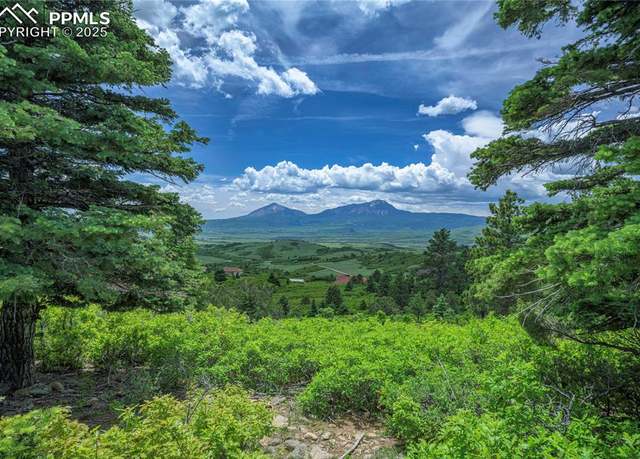Property at Lot 66 Highway 160, La Veta, CO 81055